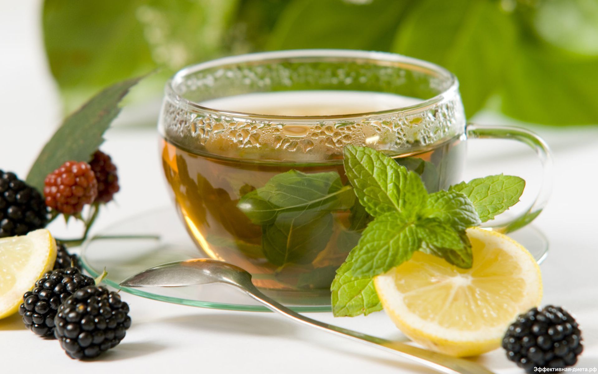 Benefits-of-Green-Tea